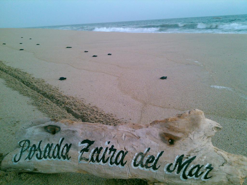 Posada Zaira Del Mar Coyuca de Benitez Bagian luar foto
